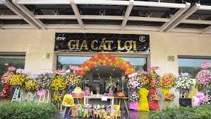 lĩnh vực hoạt động